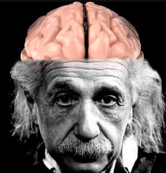 Who is smarter: Albert Einstein or Stephen Hawking?